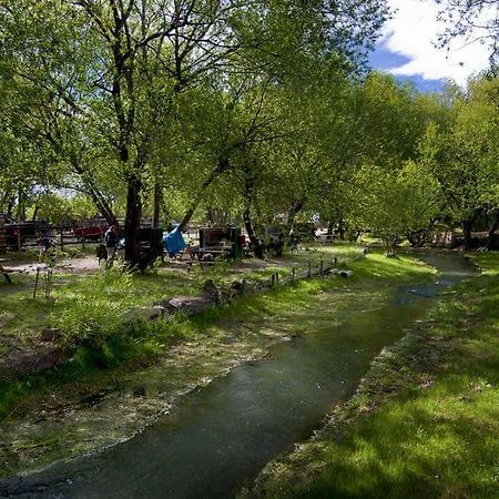 Camping Y Hostal El Ovejero El Calafate Dış mekan fotoğraf