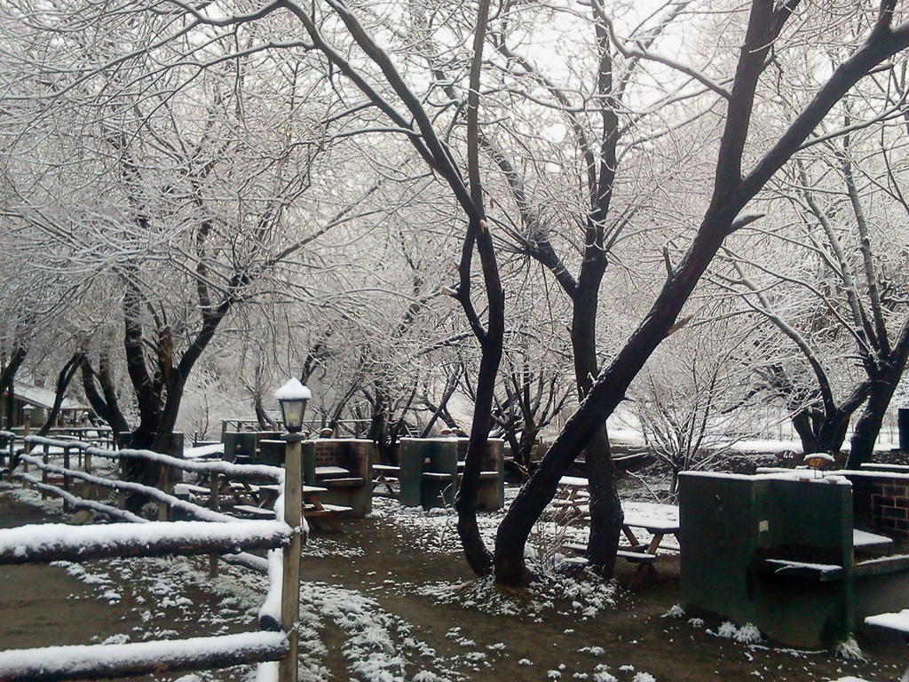 Camping Y Hostal El Ovejero El Calafate Dış mekan fotoğraf
